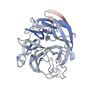 41826_8u1s_A_v1-0
A mechanistic understanding of protective influenza B neuraminidase mAbs at the airway interface