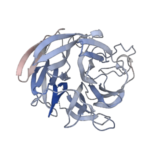 41826_8u1s_B_v1-0
A mechanistic understanding of protective influenza B neuraminidase mAbs at the airway interface