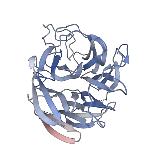 41826_8u1s_C_v1-0
A mechanistic understanding of protective influenza B neuraminidase mAbs at the airway interface