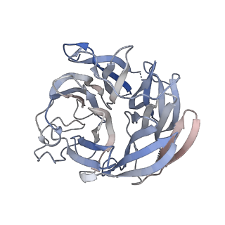 41826_8u1s_D_v1-0
A mechanistic understanding of protective influenza B neuraminidase mAbs at the airway interface