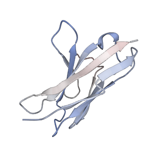 41826_8u1s_F_v1-0
A mechanistic understanding of protective influenza B neuraminidase mAbs at the airway interface