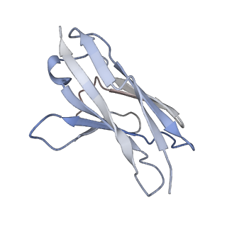 41826_8u1s_I_v1-0
A mechanistic understanding of protective influenza B neuraminidase mAbs at the airway interface