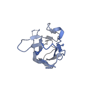 41826_8u1s_J_v1-0
A mechanistic understanding of protective influenza B neuraminidase mAbs at the airway interface