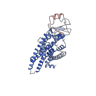 41829_8u1u_A_v1-0
Structure of a class A GPCR/agonist complex