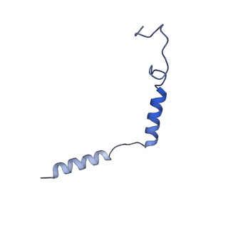 41829_8u1u_D_v1-0
Structure of a class A GPCR/agonist complex