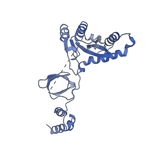 8481_5u1c_A_v1-4
Structure of tetrameric HIV-1 Strand Transfer Complex Intasome