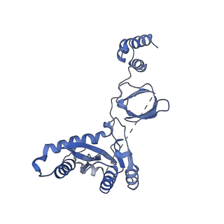 8481_5u1c_C_v1-4
Structure of tetrameric HIV-1 Strand Transfer Complex Intasome