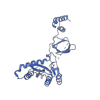 8481_5u1c_C_v1-5
Structure of tetrameric HIV-1 Strand Transfer Complex Intasome