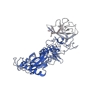 20616_6u23_D_v1-2
EM structure of MPEG-1(w.t.) soluble pre-pore