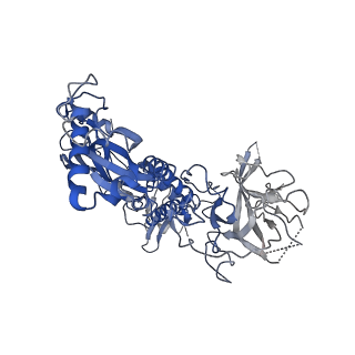 20616_6u23_G_v1-2
EM structure of MPEG-1(w.t.) soluble pre-pore
