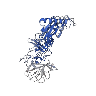20616_6u23_K_v1-2
EM structure of MPEG-1(w.t.) soluble pre-pore