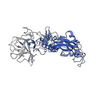 20616_6u23_N_v1-2
EM structure of MPEG-1(w.t.) soluble pre-pore