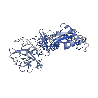 20621_6u2k_B_v1-2
EM structure of MPEG-1 (L425K, alpha conformation) soluble pre-pore complex