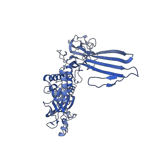 20623_6u2l_AA_v1-2
EM structure of MPEG-1 (L425K, beta conformation) soluble pre-pore complex