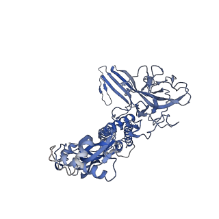 20623_6u2l_C_v1-2
EM structure of MPEG-1 (L425K, beta conformation) soluble pre-pore complex