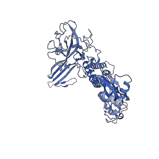 20623_6u2l_G_v1-2
EM structure of MPEG-1 (L425K, beta conformation) soluble pre-pore complex