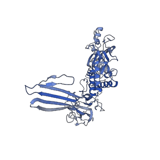 20623_6u2l_II_v1-2
EM structure of MPEG-1 (L425K, beta conformation) soluble pre-pore complex