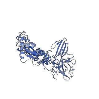 20623_6u2l_P_v1-2
EM structure of MPEG-1 (L425K, beta conformation) soluble pre-pore complex