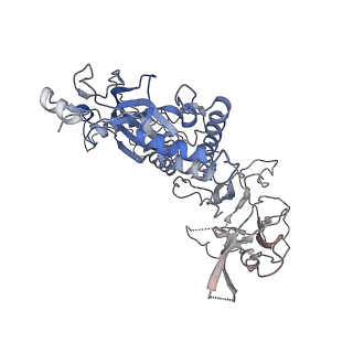 20627_6u2w_B_v1-2
EM structure of MPEG-1(L425K) pre-pore complex bound to liposome