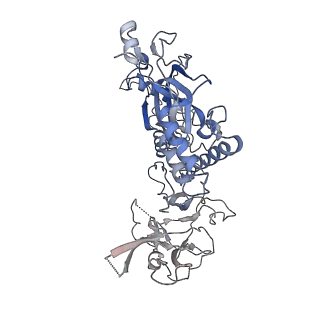 20627_6u2w_D_v1-2
EM structure of MPEG-1(L425K) pre-pore complex bound to liposome