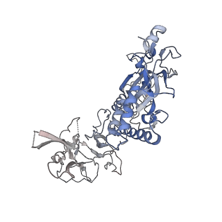 20627_6u2w_F_v1-2
EM structure of MPEG-1(L425K) pre-pore complex bound to liposome
