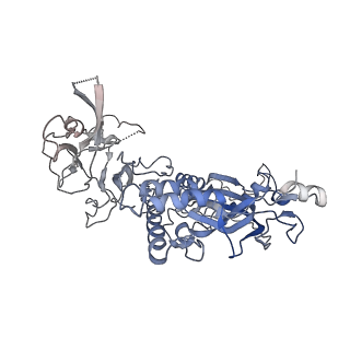 20627_6u2w_I_v1-2
EM structure of MPEG-1(L425K) pre-pore complex bound to liposome