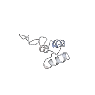 26306_7u23_C_v1-0
Single-chain LCDV-1 viral insulin-like peptide bound to IGF-1R ectodomain, leucine-zippered form