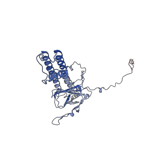 26307_7u24_A_v1-1
Cryo-EM structure of the pancreatic ATP-sensitive potassium channel bound to ATP and glibenclamide with Kir6.2-CTD in the up conformation