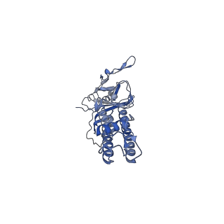 26307_7u24_C_v1-1
Cryo-EM structure of the pancreatic ATP-sensitive potassium channel bound to ATP and glibenclamide with Kir6.2-CTD in the up conformation