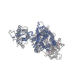 26307_7u24_E_v1-1
Cryo-EM structure of the pancreatic ATP-sensitive potassium channel bound to ATP and glibenclamide with Kir6.2-CTD in the up conformation