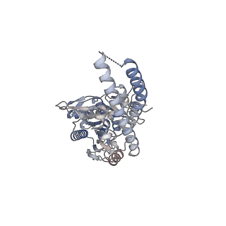 26310_7u2a_B_v1-0
Cryo-electron microscopy structure of human mt-SerRS in complex with mt-tRNA (GCU)