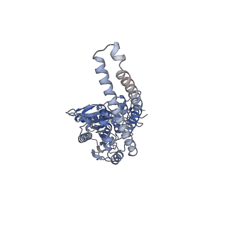 26311_7u2b_B_v1-0
Cryo-electron microscopy structure of human mt-SerRS in complex with mt-tRNA(GCU-TL)