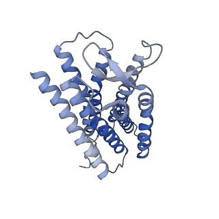 26313_7u2k_D_v1-2
C6-guano bound Mu Opioid Receptor-Gi Protein Complex