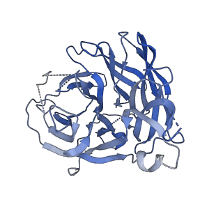 26319_7u2t_B_v1-0
Influenza Neuraminidase N1-MI15-sNAp-174