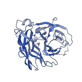 26319_7u2t_D_v1-0
Influenza Neuraminidase N1-MI15-sNAp-174