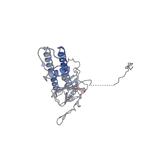 26321_7u2x_A_v1-1
Cryo-EM structure of the pancreatic ATP-sensitive potassium channel in the presence of carbamazepine and ATP with Kir6.2-CTD in the down conformation