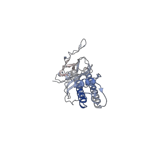 26321_7u2x_C_v1-1
Cryo-EM structure of the pancreatic ATP-sensitive potassium channel in the presence of carbamazepine and ATP with Kir6.2-CTD in the down conformation