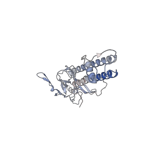 26321_7u2x_D_v1-1
Cryo-EM structure of the pancreatic ATP-sensitive potassium channel in the presence of carbamazepine and ATP with Kir6.2-CTD in the down conformation