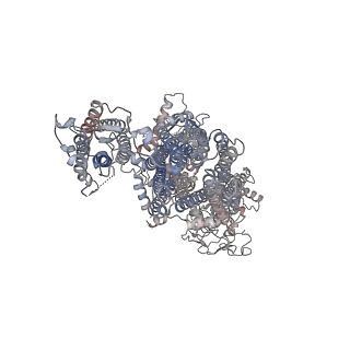 26321_7u2x_E_v1-1
Cryo-EM structure of the pancreatic ATP-sensitive potassium channel in the presence of carbamazepine and ATP with Kir6.2-CTD in the down conformation