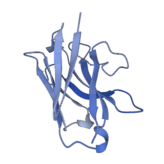 41840_8u26_N_v1-2
Gaussian Mixture Models based single particle refinement - GPCR (Substance P bound to active human neurokinin 1 receptor in complex with miniGs399 from EMPIAR-10786)