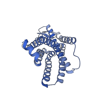 41840_8u26_R_v1-2
Gaussian Mixture Models based single particle refinement - GPCR (Substance P bound to active human neurokinin 1 receptor in complex with miniGs399 from EMPIAR-10786)