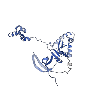 26322_7u32_A_v1-1
MVV cleaved synaptic complex (CSC) intasome at 3.4 A resolution