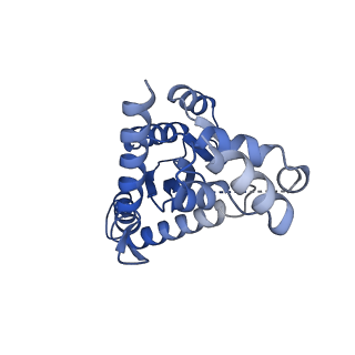26322_7u32_B_v1-0
MVV cleaved synaptic complex (CSC) intasome at 3.4 A resolution