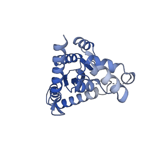 26322_7u32_B_v1-1
MVV cleaved synaptic complex (CSC) intasome at 3.4 A resolution