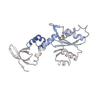 26322_7u32_C_v1-0
MVV cleaved synaptic complex (CSC) intasome at 3.4 A resolution