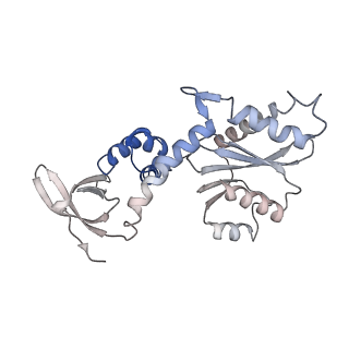 26322_7u32_C_v1-1
MVV cleaved synaptic complex (CSC) intasome at 3.4 A resolution