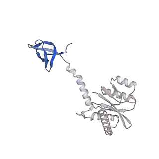 26322_7u32_D_v1-0
MVV cleaved synaptic complex (CSC) intasome at 3.4 A resolution