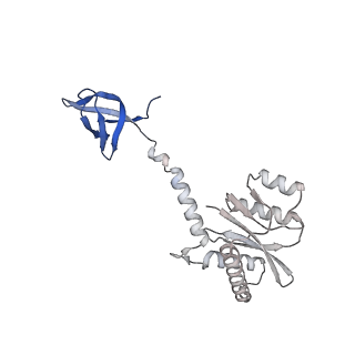 26322_7u32_D_v1-1
MVV cleaved synaptic complex (CSC) intasome at 3.4 A resolution