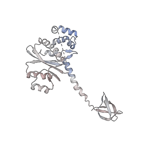 26322_7u32_E_v1-0
MVV cleaved synaptic complex (CSC) intasome at 3.4 A resolution