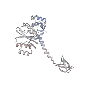 26322_7u32_E_v1-1
MVV cleaved synaptic complex (CSC) intasome at 3.4 A resolution